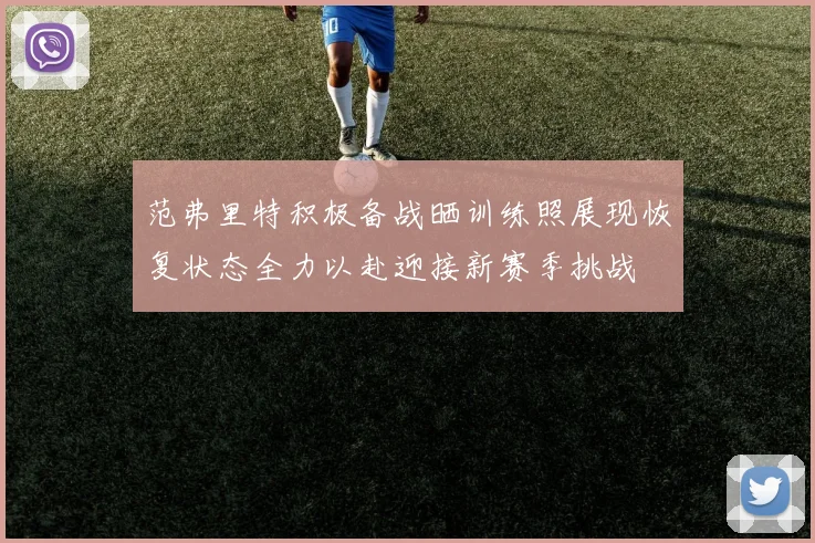 范弗里特积极备战晒训练照展现恢复状态全力以赴迎接新赛季挑战