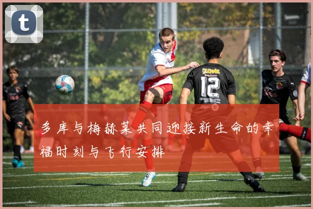 多库与梅赫莱共同迎接新生命的幸福时刻与飞行安排