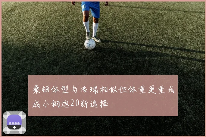 桑顿体型与洛瑞相似但体重更重或成小钢炮20新选择